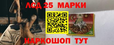 спиды Новодвинск