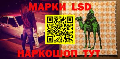 спиды Новодвинск