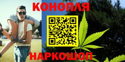твердый Новозыбков