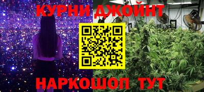 гидропоника Новокубанск