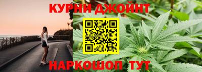 спиды Новодвинск