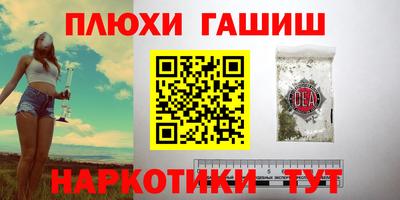 твердый Новозыбков