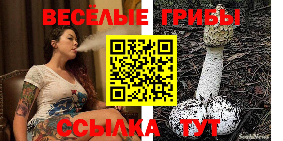 Псилоцибиновые грибы Psilocybe  Галлюциногенные грибы Magic Shrooms  Вход с VPN  Тосно 