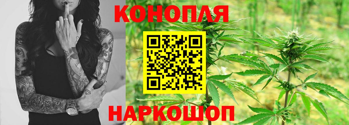 Каннабис White Widow  Вход с VPN  Тосно  Каннабис планчик  Каннабис планчик 